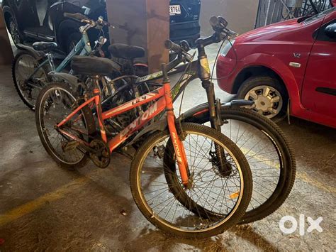 Adult bicycle without gear - Bicycles - 1818839282