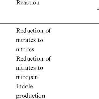 Image result for API NE