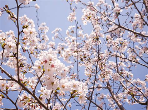 Andie Elle OnlyFans Leaks: What We Know and What’s Going Viral