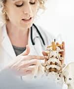 Lactoferrin's Cell Regenerative Effects - Life Extension