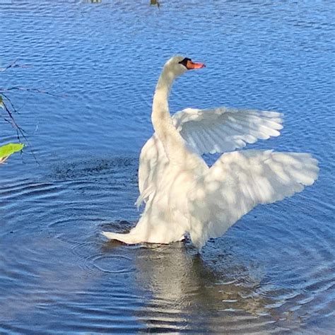 Quequechan River Rail Trail (Fall River) - 2021 What to Know Before You ...