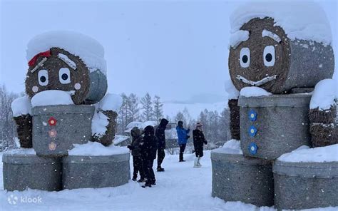[Furano & Biei Winter Night Romance] Christmas Tree Sunset ...