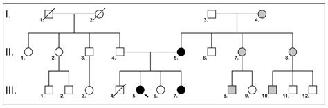 Heterogeneity of Orodental Features in a Family with Noonan Syndrome