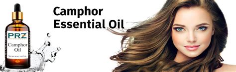 PRZ Camphor Essential Oil - Pure Natural Therapeutic Grade Oil ...
