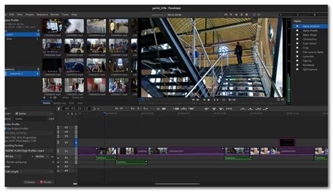 Open Source Video Editing 的图像结果