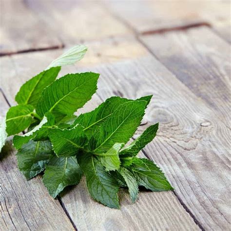 Natural Fly Repellent You Can Make In Your Kitchen (Really)