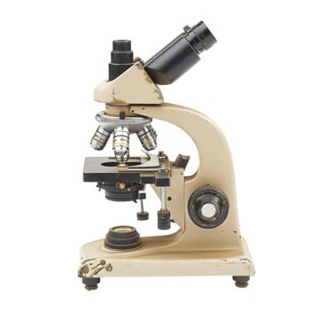 Image result for Compound Microscope PNG