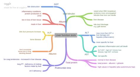 Image result for Liver Function Tests Chart