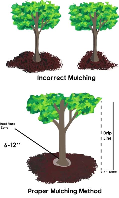 Image result for How to Use a Mulching Machine