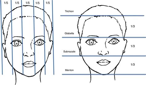 Assessment of facial analysis measurements by golden proportion ...