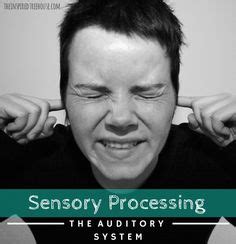 68 SENSORY PROCESSING DISORDER ideas | sensory processing disorder ...