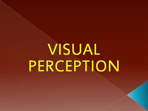 Image result for Visual Perception Definition