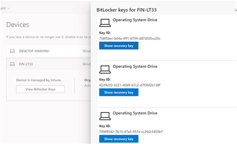 Image result for Recovery Key ID Microsoft