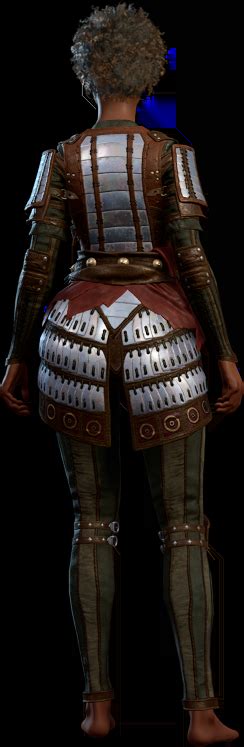 File:Splint Armour Human Back Model.webp - bg3.wiki