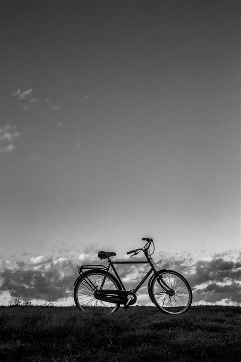 Cycling Black and White 的图像结果