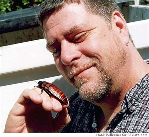 Madagascar Cockroach Dissection 的图像结果