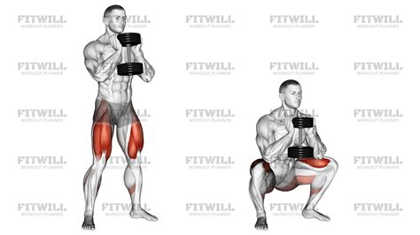 Dumbbell Goblet Squat: Exercise Guide, Video, Techniques, Benefits, How ...