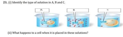21. (i) Identify the type of solution in A, B and C. (ii) What happens ...