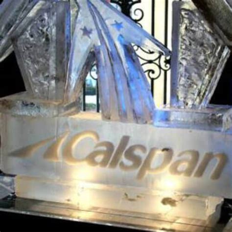 Image result for Calspan Target