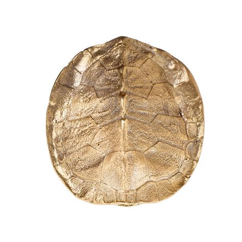 Image result for Turtle Shell Ring