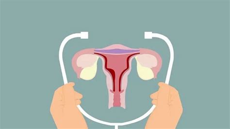 空孕囊是怎么回事空孕囊是怎么回事（试管生化、胎停育、空孕囊到底是怎么回事？一文读懂） | 说明书网
