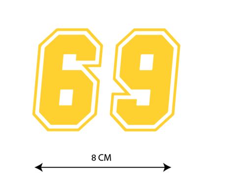 Sixty-Nine I Race Bike Decal – Peacockride