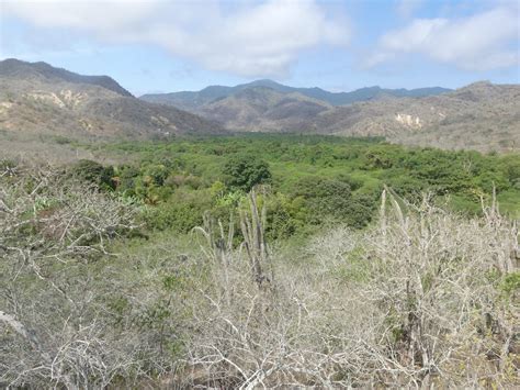 Climate and Weather in Ecuador: Know What To Expect on Your Trip - My Trip To Ecuador