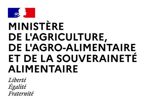 Qu’est-ce qu’un chat libre ? Définition et enjeux