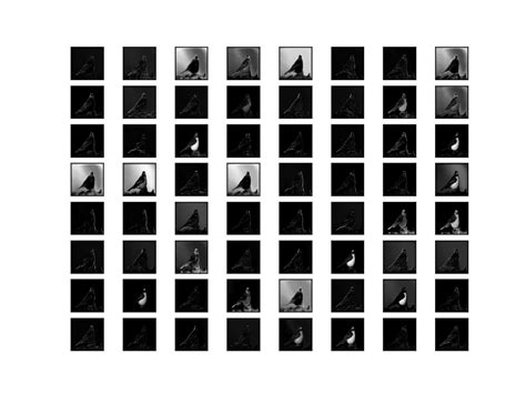 Image result for Feature Map Deep Learning