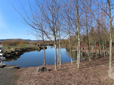 Ki-a-Kuts Falls Fernhill Wetlands – 02/24/2024 – wanderingyuncks