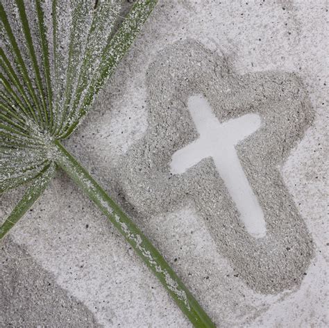 Ash Wednesday Services • Nardin Park Church