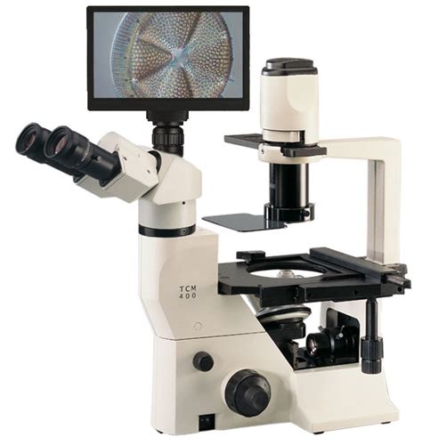 Image result for Inverted Light Microscope
