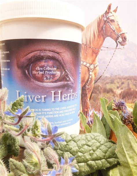 Jing Well Inc - 𝐒𝐩𝐫𝐢𝐧𝐠 is near, and as plants and nature use renewed ...