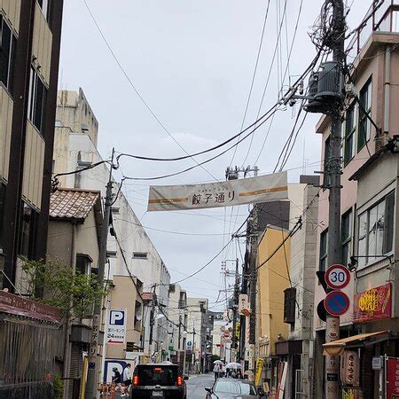 Famous gyoza restaurants - Reviews, Photos - Utsunomiya Minmin Honten ...