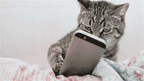 Gamepad for Android 的图像结果