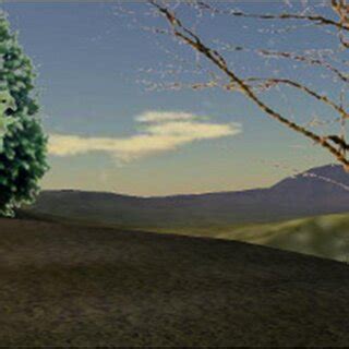 Image result for OpenGL Real-Time Environment Mapping