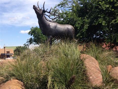 Bull Elk Statue, elk city, United States Of America - Top Attractions ...