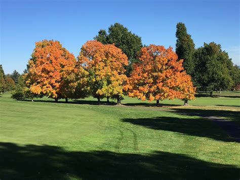 Wethersfield Country Club | All Square Golf