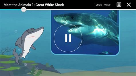 Meet The Animals - Storybook APK for Android Download