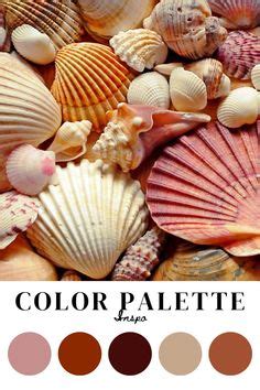 Image result for Shell Casing Color Palette