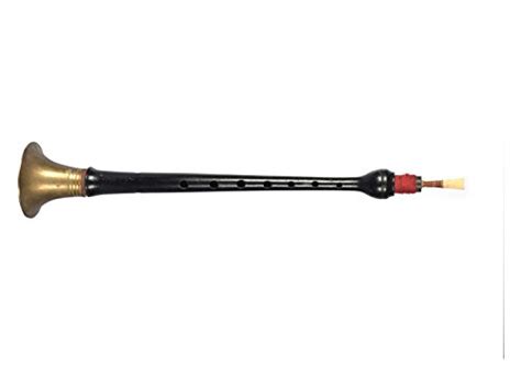 Amazon.in Bestsellers: The most popular items in Bagpipes