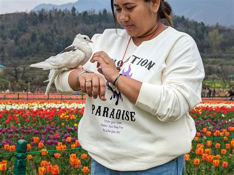 ONLINE HOLIDAYS (2025) All You Need to Know BEFORE You Go (with Photos ...