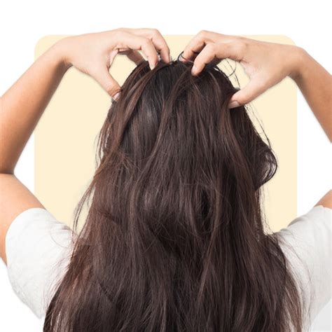 Head Cooling Oil Bhringraj, Peppermint, Eucalyptus Oil – Seer Secrets