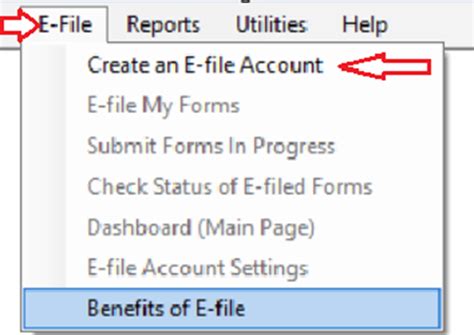 Image result for E-File How To