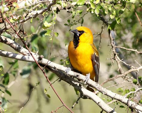 Free High Resolution Stock 的图像结果