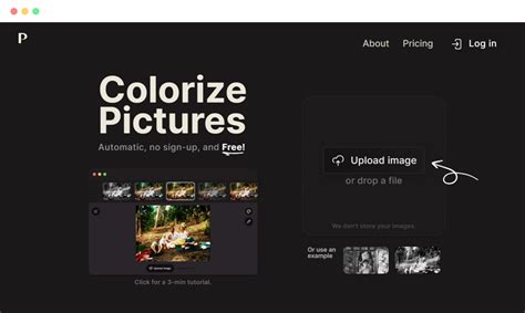 Ashampoo Colorizer 的图像结果