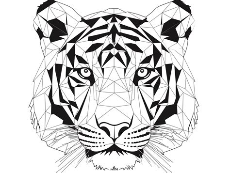 Elaborate Tiger Drawing To Color - Coloring Page