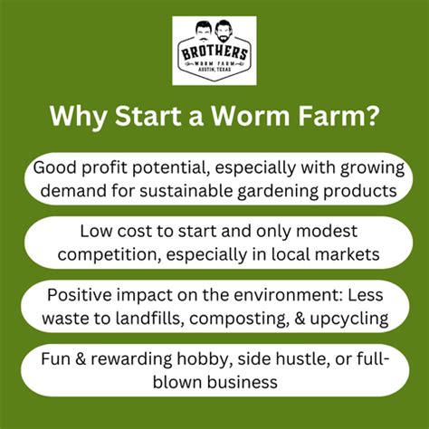 Worm Farm Business 的图像结果