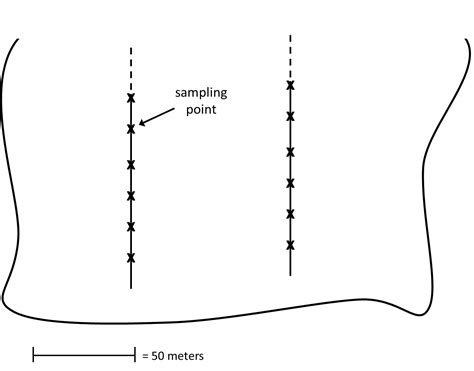 Image result for Sampling Design