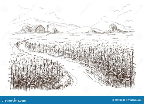 Farmland Drawing